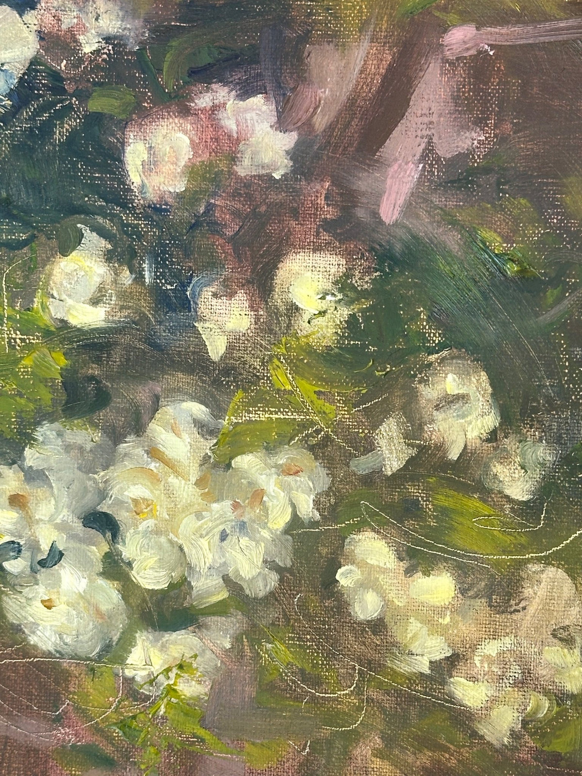 No. 7